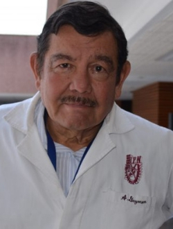 Adolfo Guzman Arenas